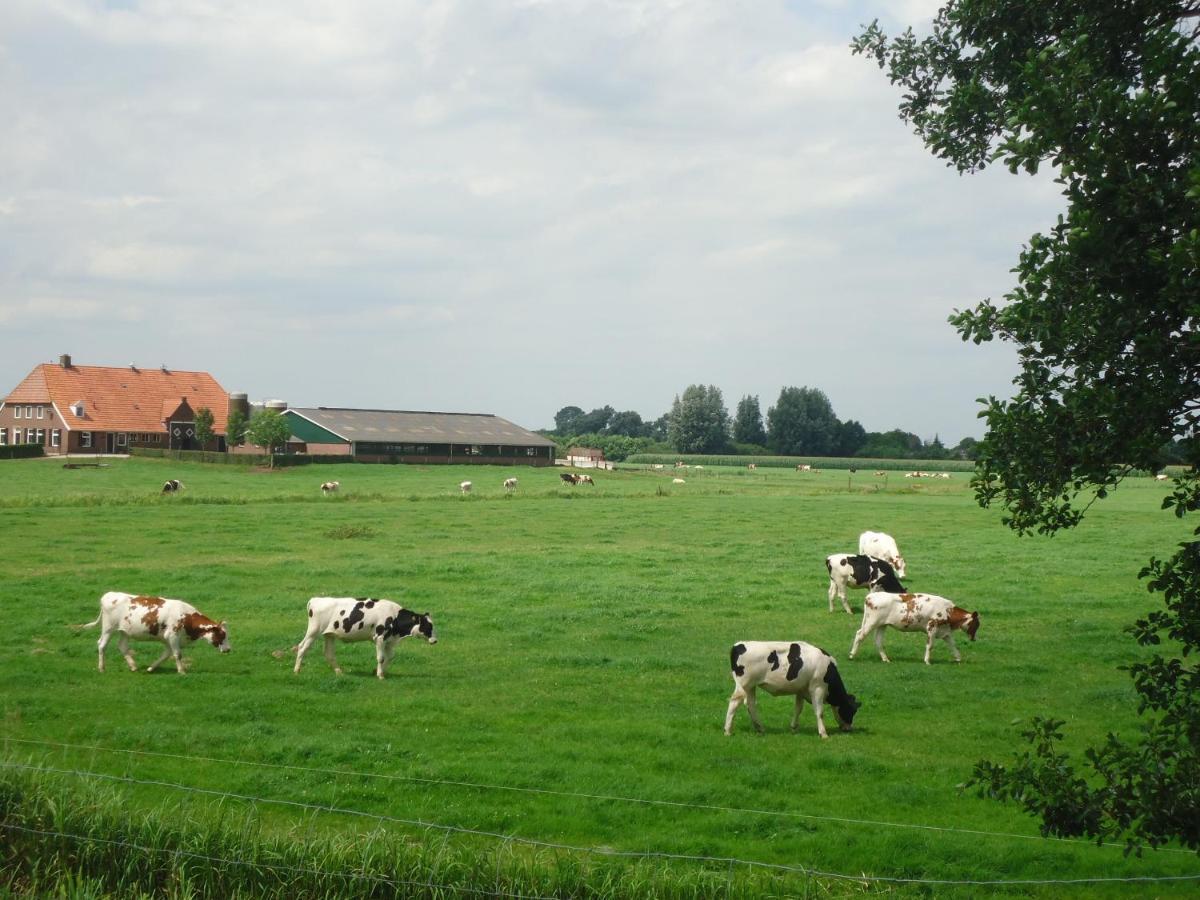 Bed and Breakfast Klein Vreugderijk Zwolle  Esterno foto